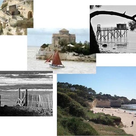 Chambre D'Hotes Le Berceau Meschers-sur-Gironde Luaran gambar
